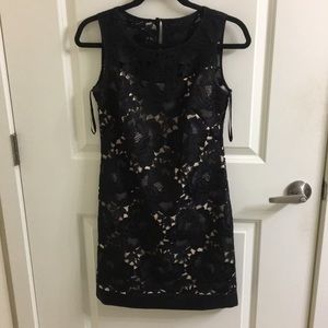 White House Black Market Dressy Lace Dress